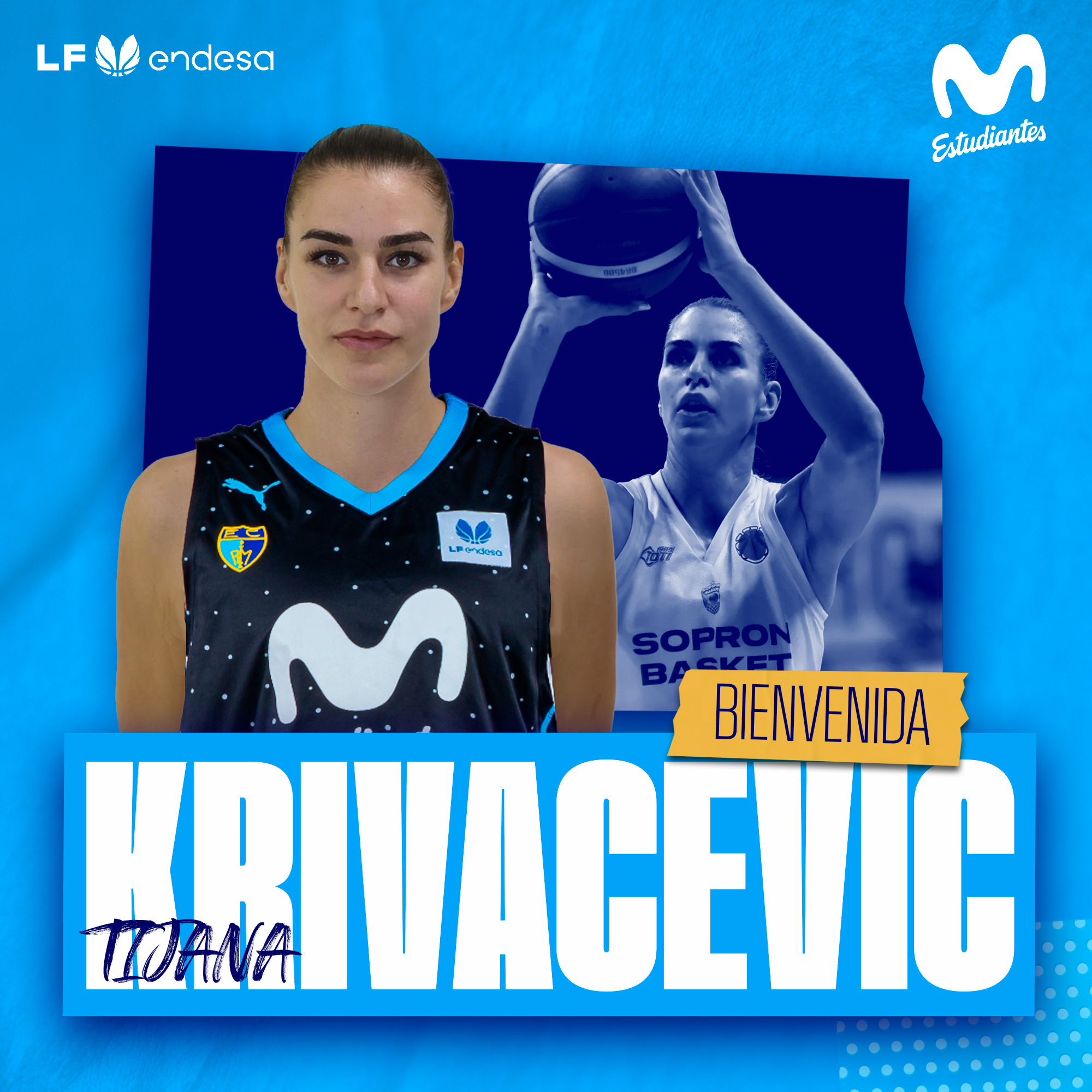 Bienvenida, Krivacevic